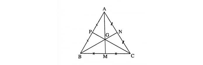 đường trung trực trong tam giác